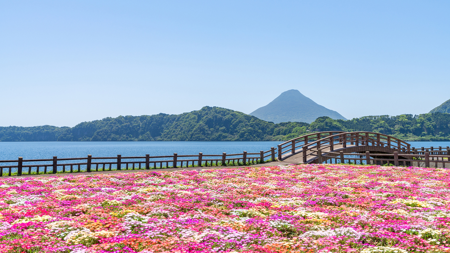 定番を捨てて極上の旅へ！2026年鹿児島観光の穴場と秘境10選