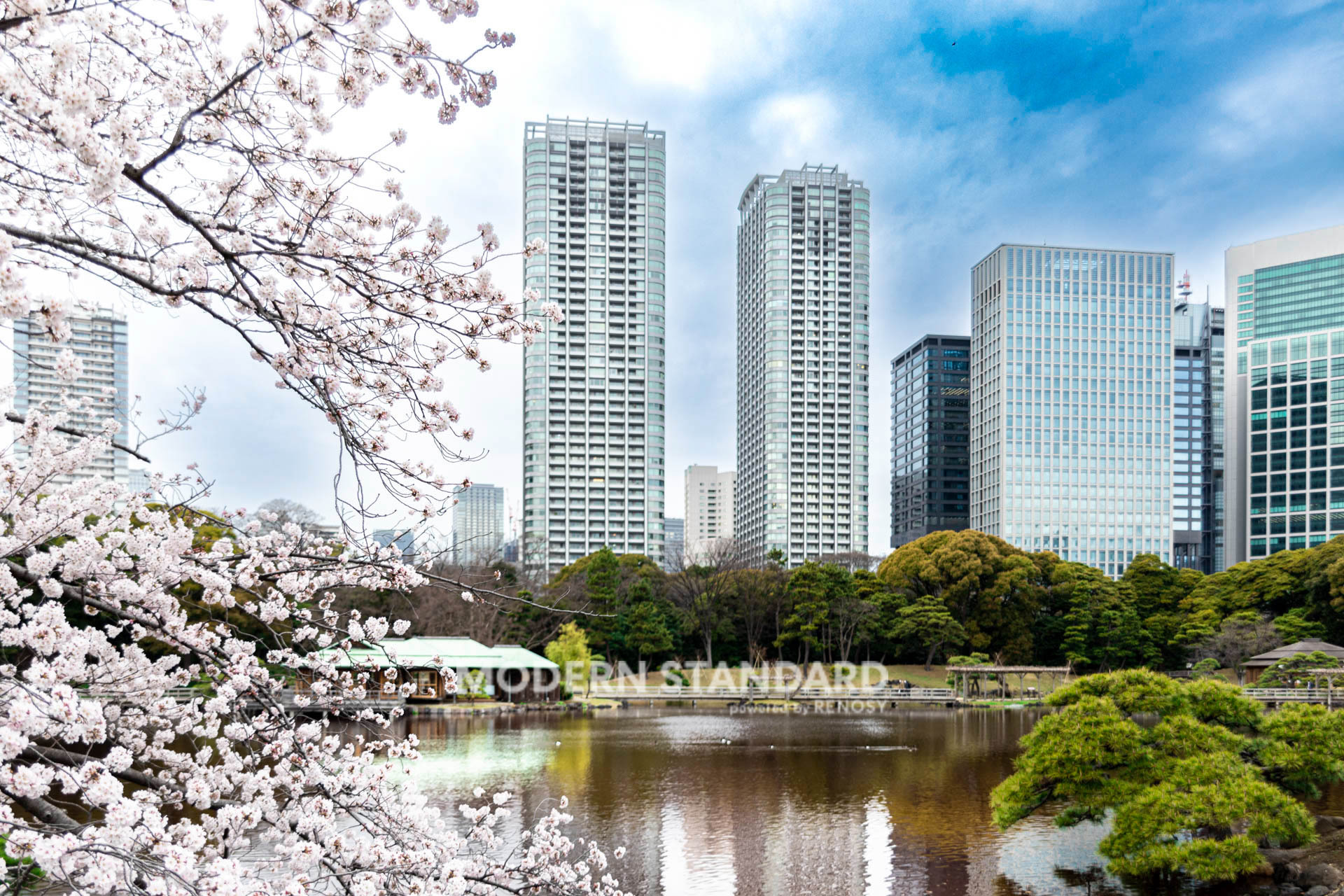 東京ツインパークスレフトウイングの真価｜最新相場と眺望の真実