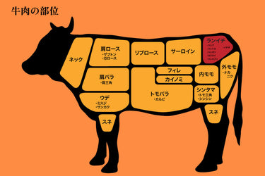 【最新】 ランプ 肉 と は 2026年最新プロフィール #837