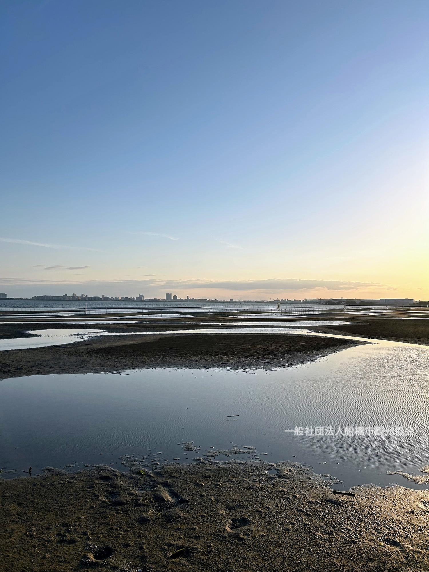 船橋三番瀬海浜公園の全貌｜2026年潮干狩り・Bbqと駐車場回避術