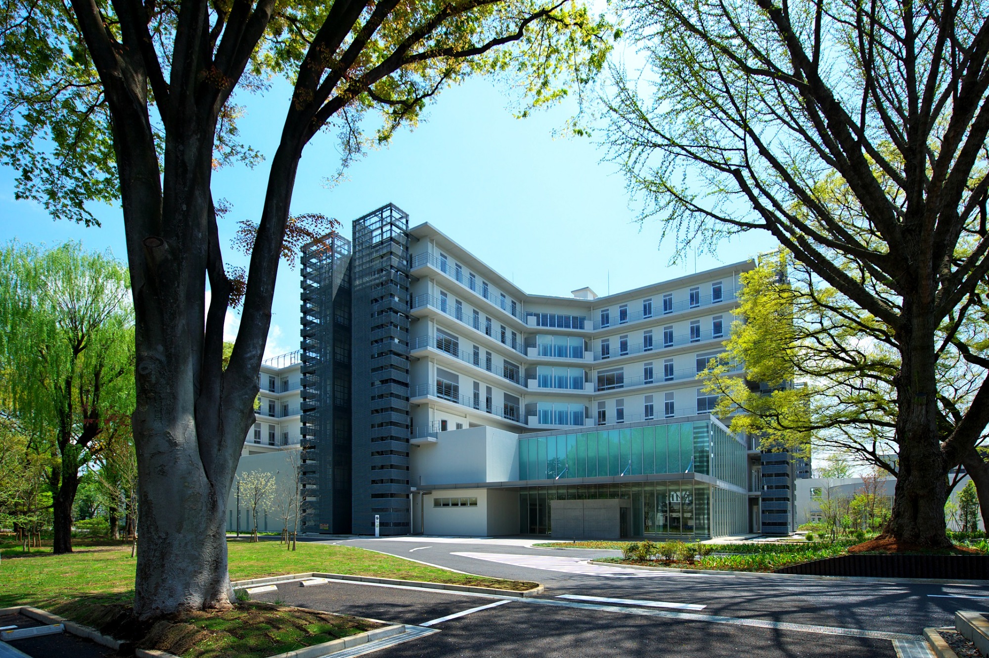 東京都立松沢病院の評判と受診実態｜初診予約から入院費用まで徹底解剖
