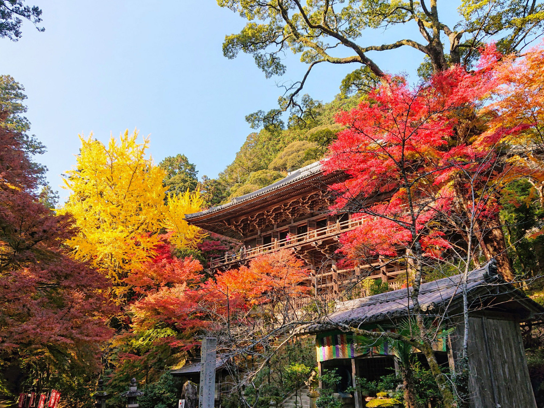 書写山圓教寺の全貌解明！ラストサムライの舞台と最新見どころ完全解説