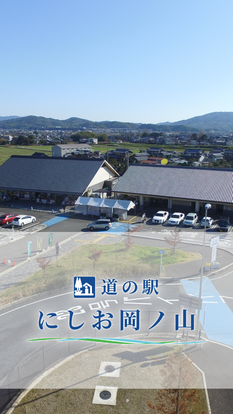 絶品抹茶ソフトとうなぎ弁当！道の駅にしお岡ノ山徹底ガイド
