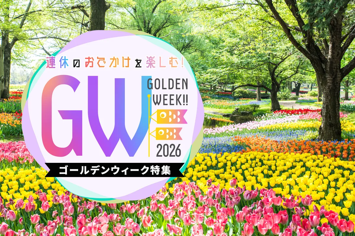 三條歯科医院の評判は？痛くない治療や費用目安・2026最新情報を徹底検証