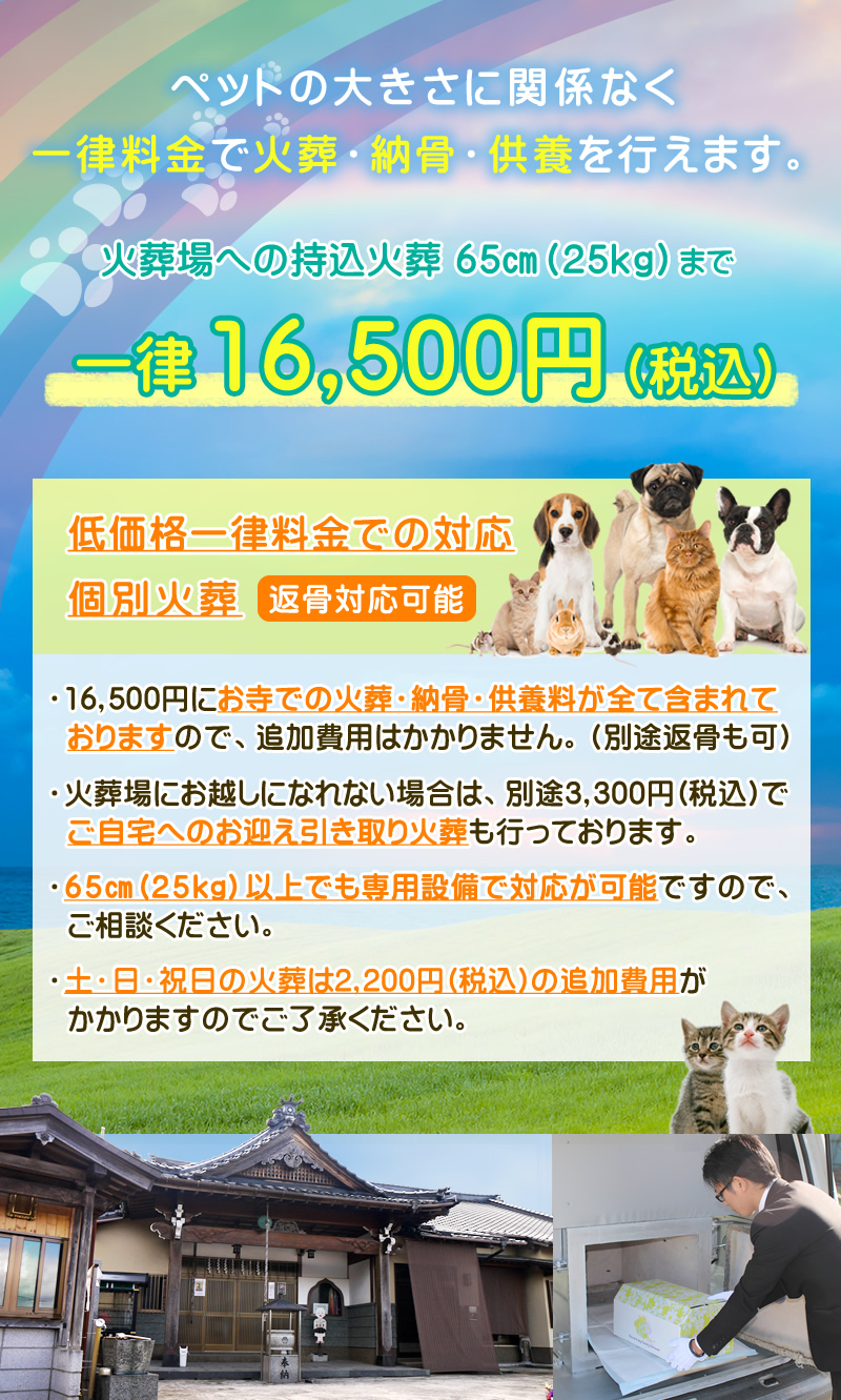 【2026最新】諏訪公園の魅力と混雑回避術！遊具・イベント徹底総まとめ