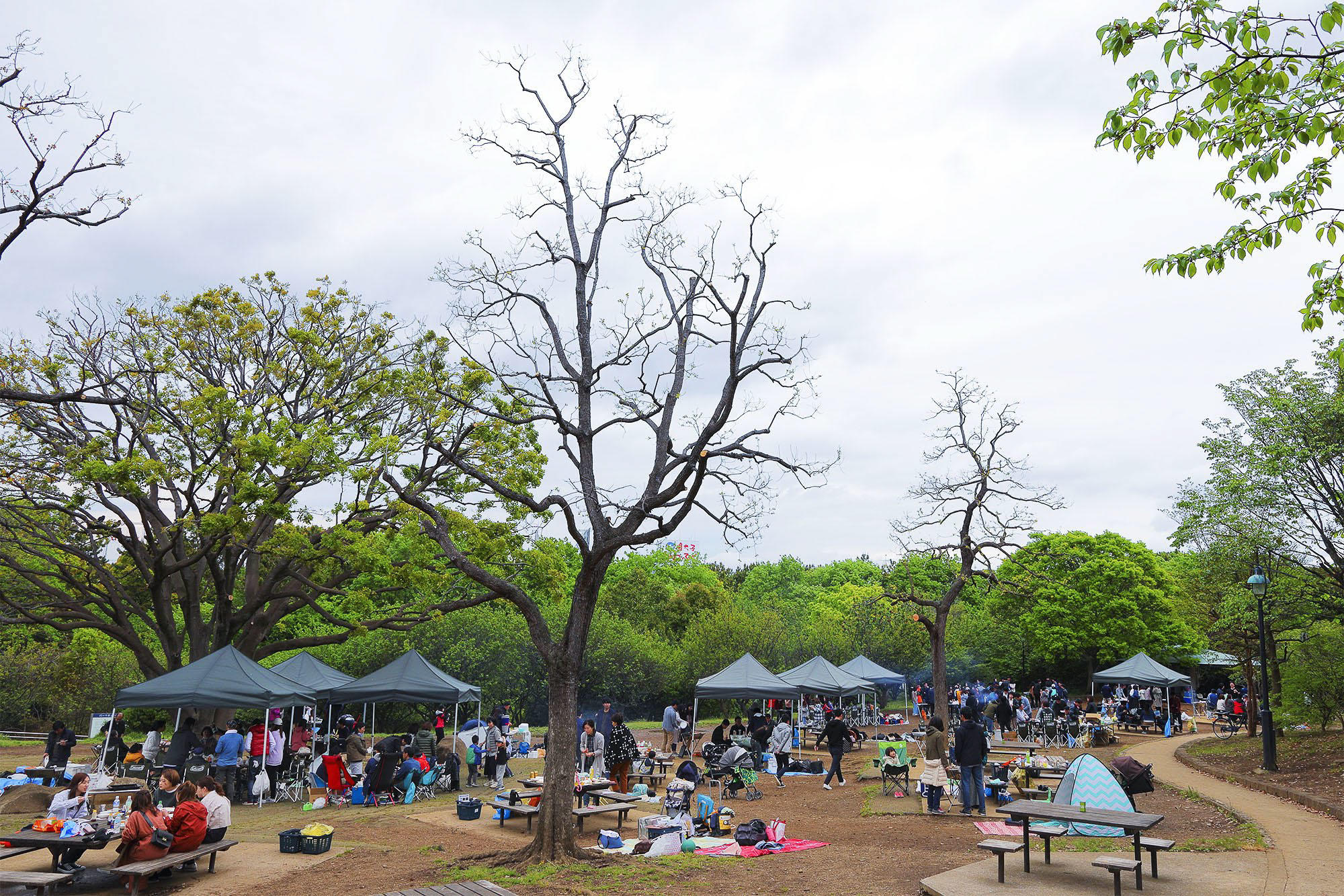 葛西臨海公園Bbqの落とし穴！2026年最新ルールと失敗ゼロ攻略法