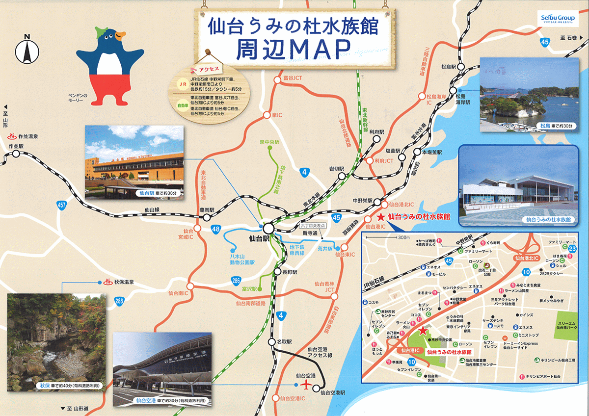 仙台駅からうみの杜水族館への行き方比較！最速ルートと混雑裏ワザ