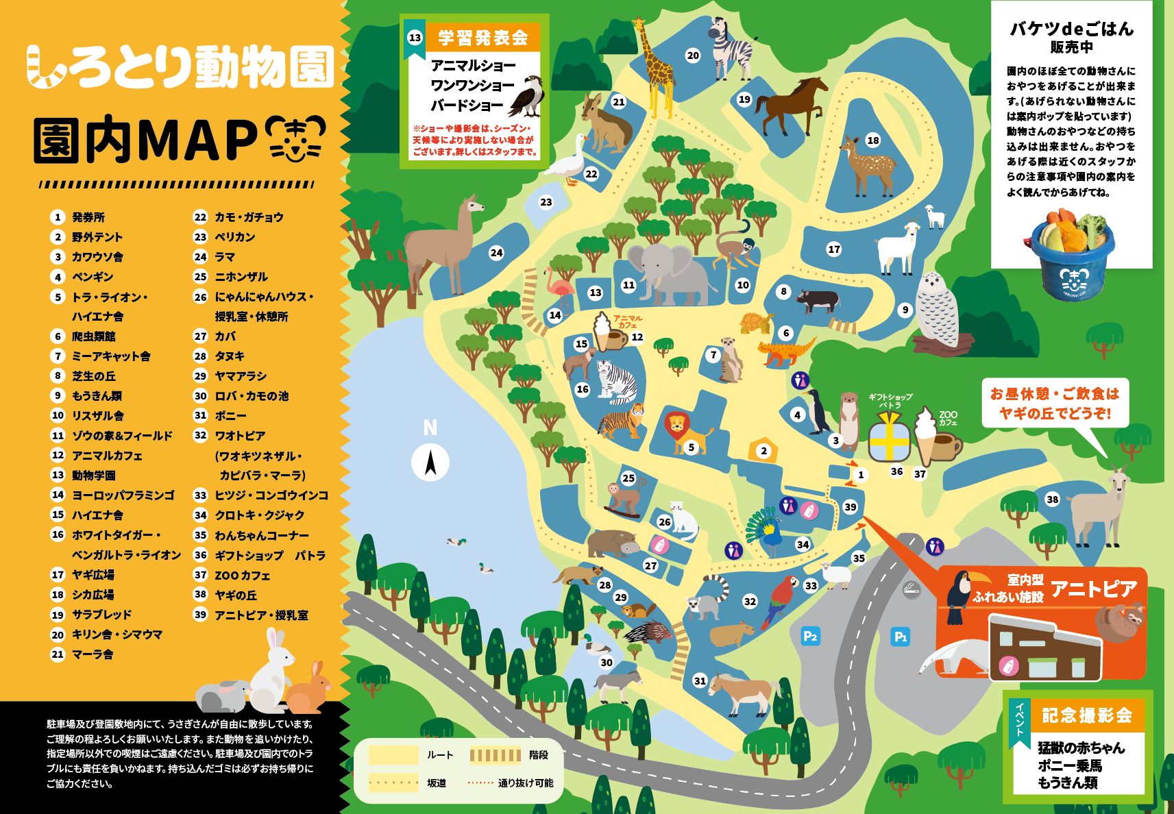 自由すぎるしろとり動物園はやばい？噂の真相と2026最新攻略法