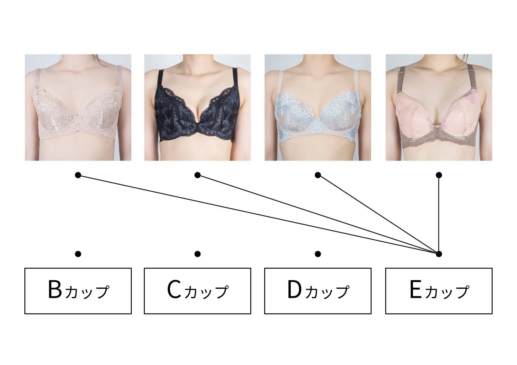 同じカップでも見た目が全然違う？胸の大きさの真相と正しい測り方